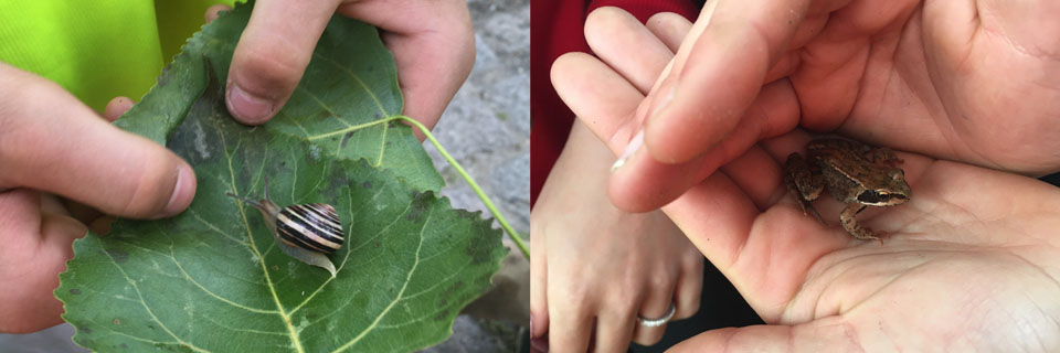 Dauwtrip_ontmoetingen